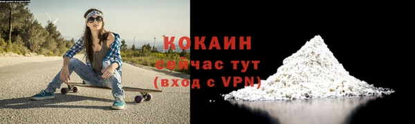тгк Абаза