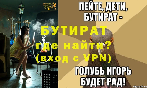 хмурый Ельня