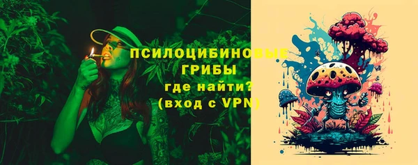 ПСИЛОЦИБИНОВЫЕ ГРИБЫ Елизово