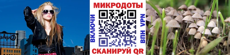 гидра как войти  Татарск  Галлюциногенные грибы MAGIC MUSHROOMS 